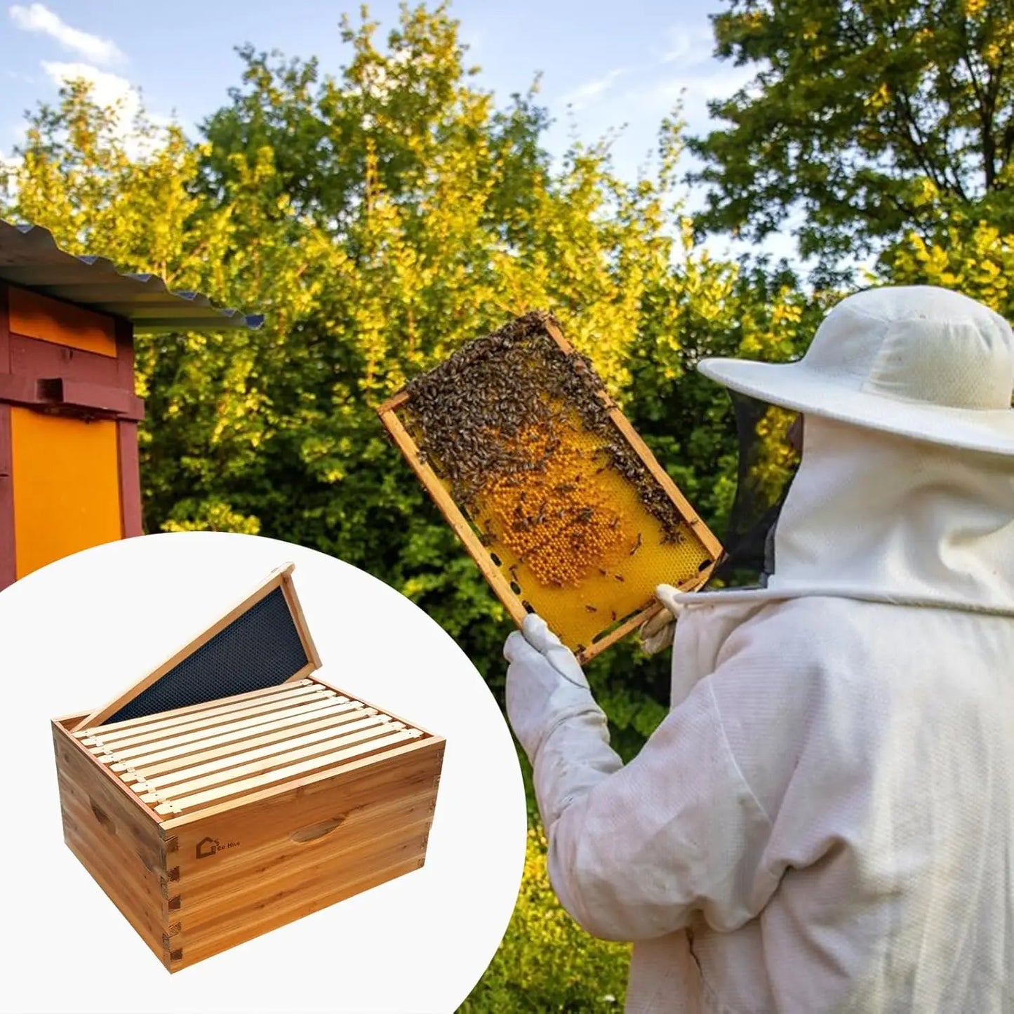 10 Frame Deep Brood Bee Hive Box Dipped in 100% Beeswax Wooden Frames Beehive Box for Beginner Beekeeper Beekeeping Supplies