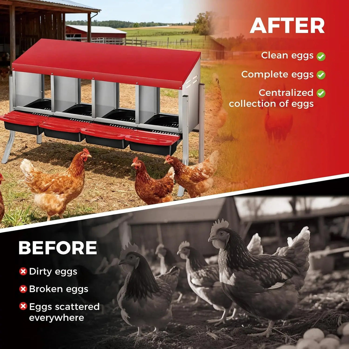 Chicken Nesting Box with Pull-Out Egg Collector Trays The Pet & Home Store