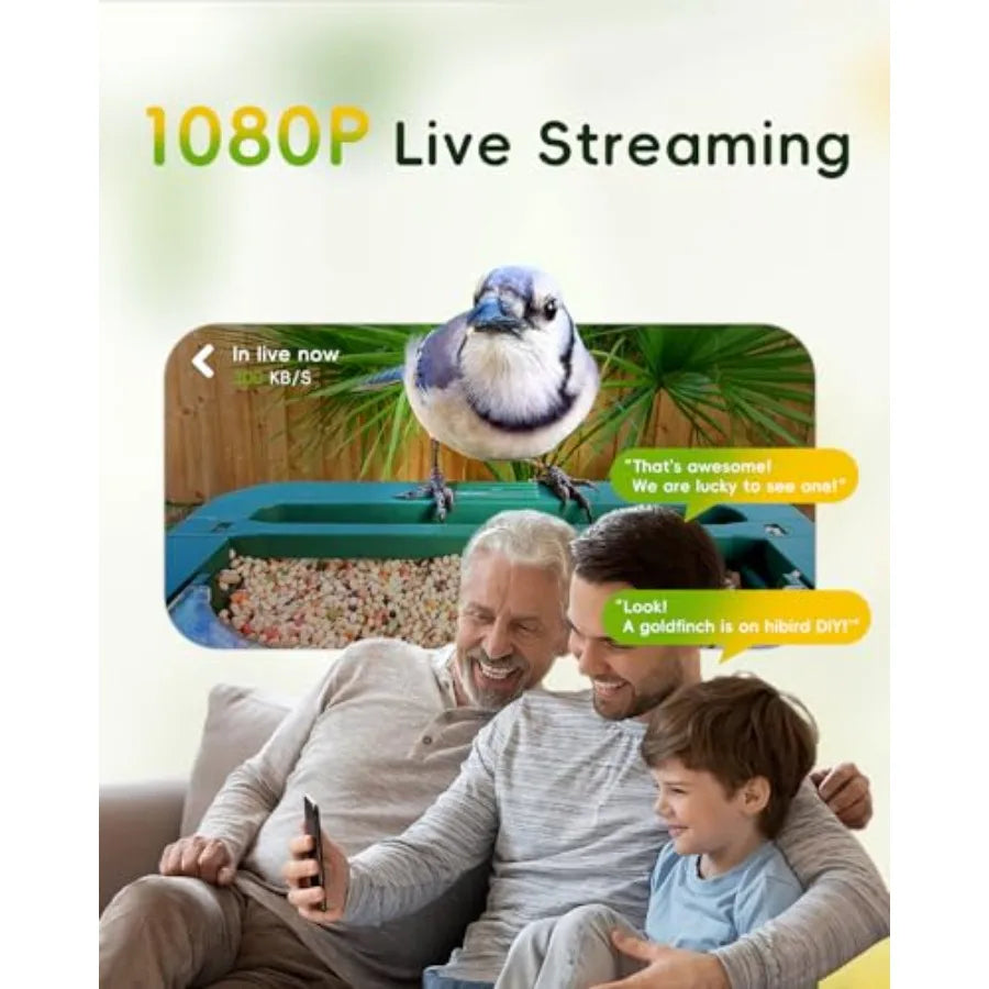 SHXI Hibird 4K Bird Feeder With Camera Dual WiFi Outdoor