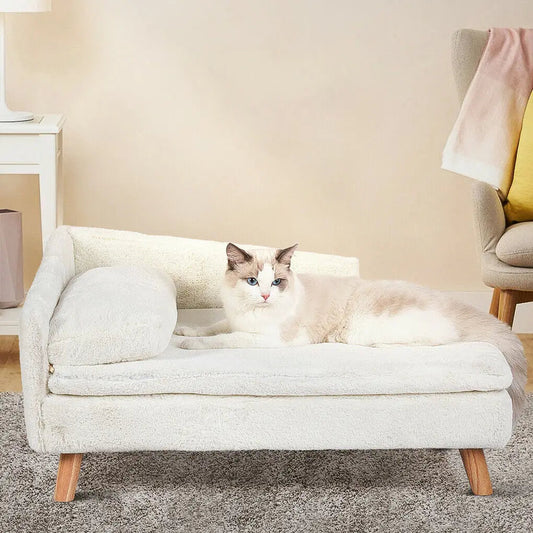 Elevated Pet Bed The Pet & Home Store