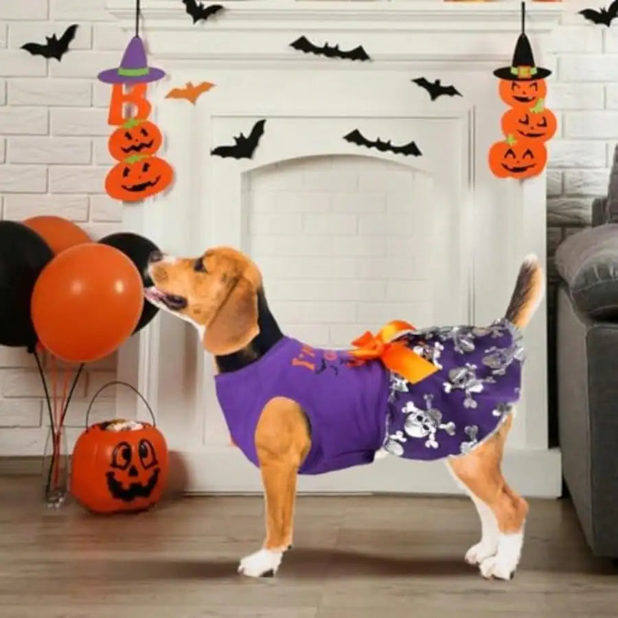 Halloween Skull Dress for Dogs The Pet & Home Store