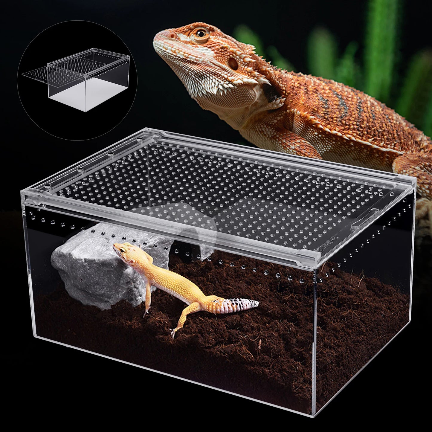 Bymaocar Clear Acrylic Reptile Terrarium With Magnetic Lock Ventilation
