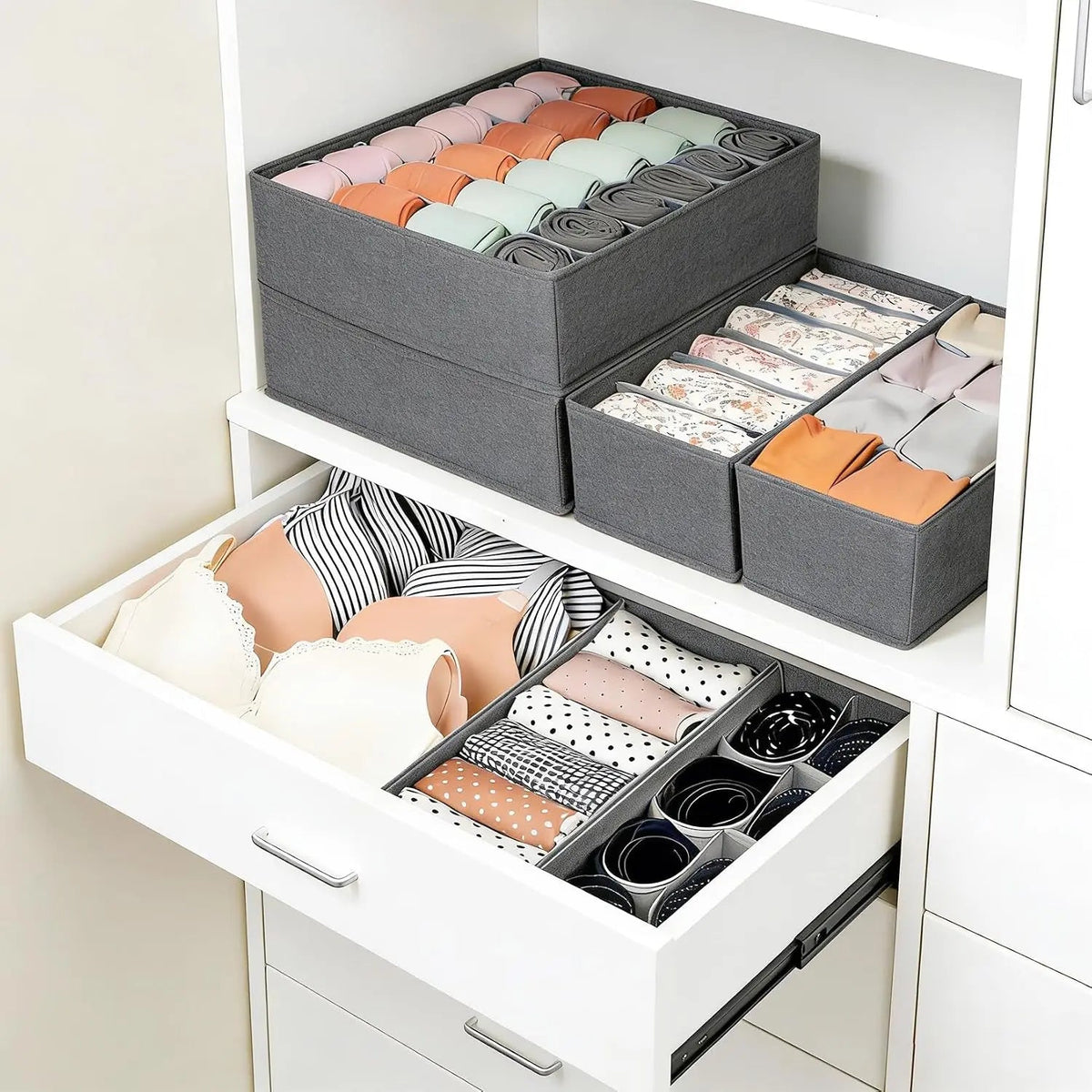12Pack Underwear Drawer Organizer The Pet & Home Store