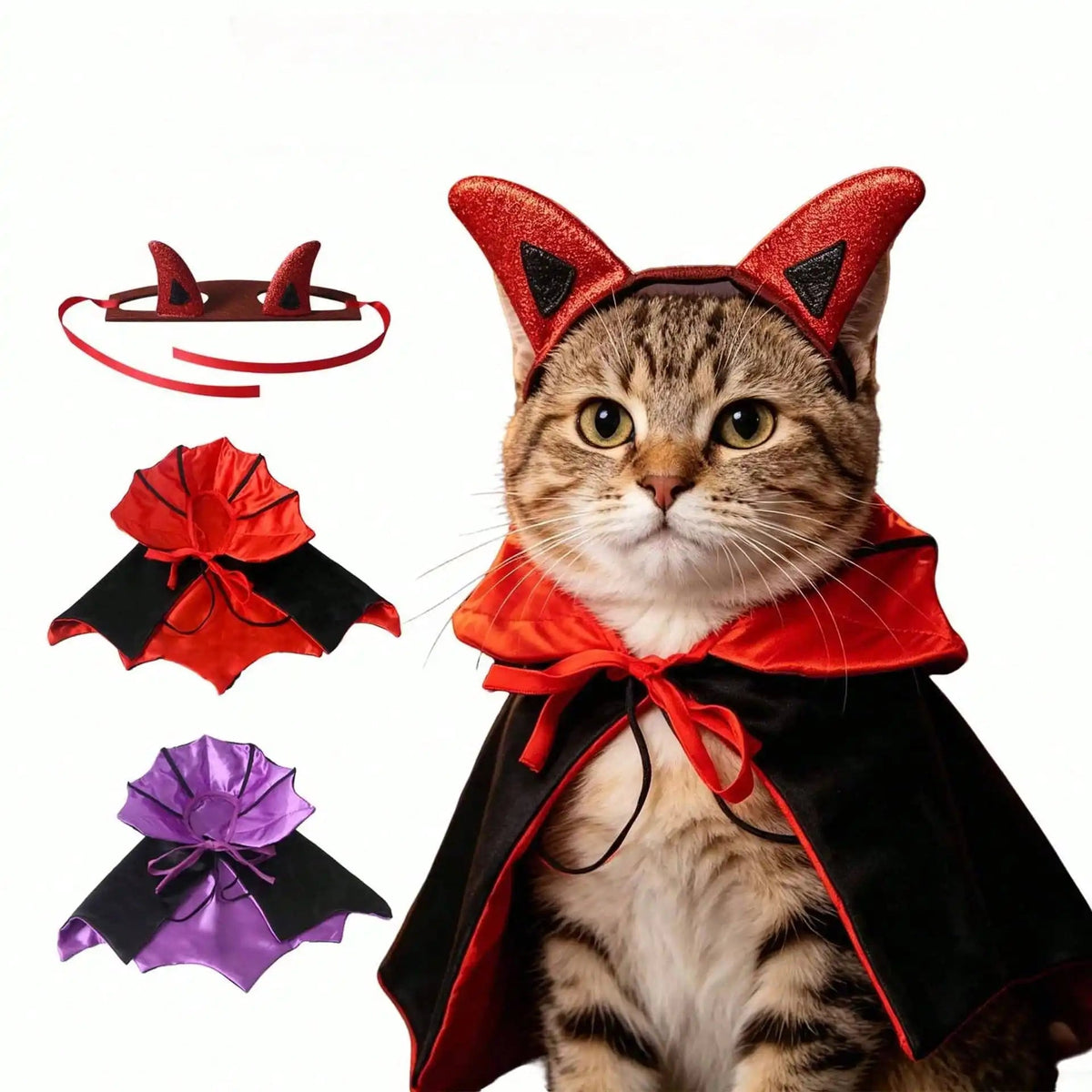 Halloween Bat Pet Cloak for Small Cat or Dog The Pet & Home Store