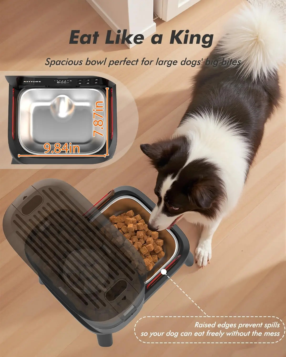 Automatic Dog Feeder for Large Breed With Elevated Stand