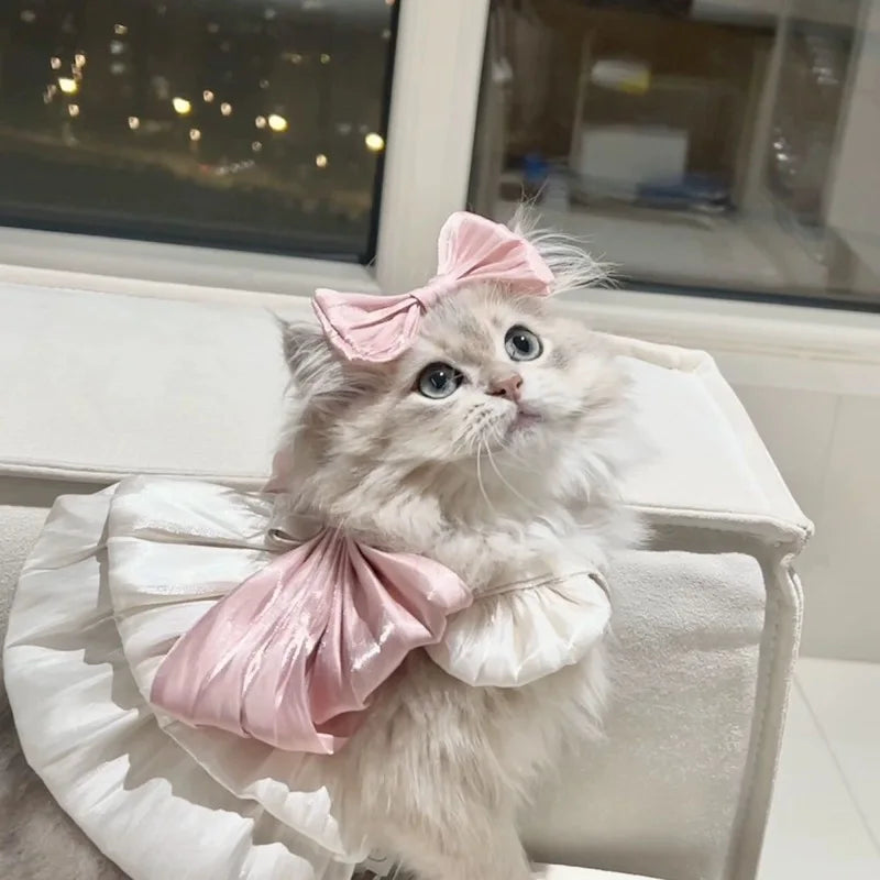 Adorable Cat Dress For Spring Summer Pet Fashion Glimmer Skirt