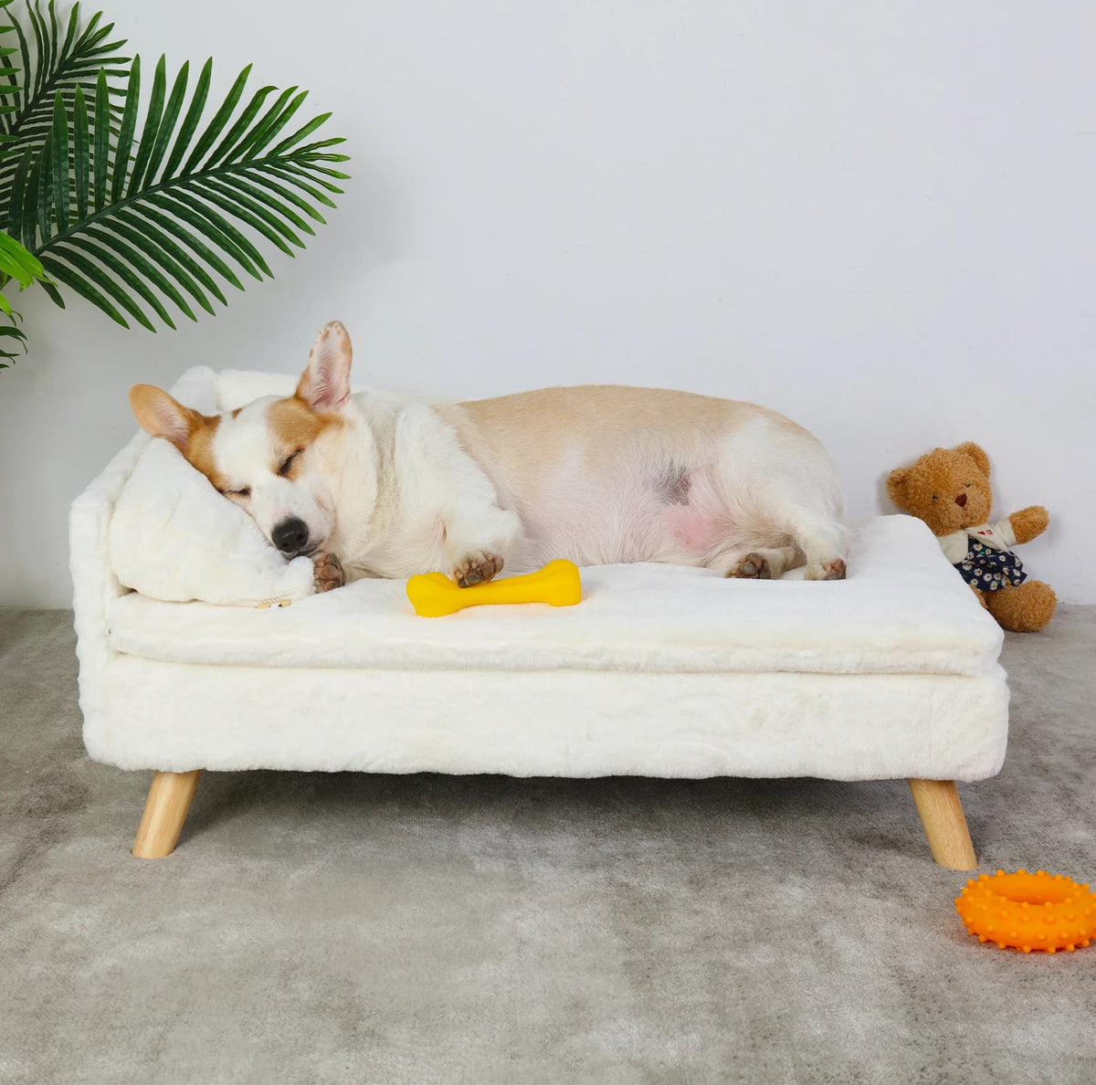 Elevated Pet Bed The Pet & Home Store