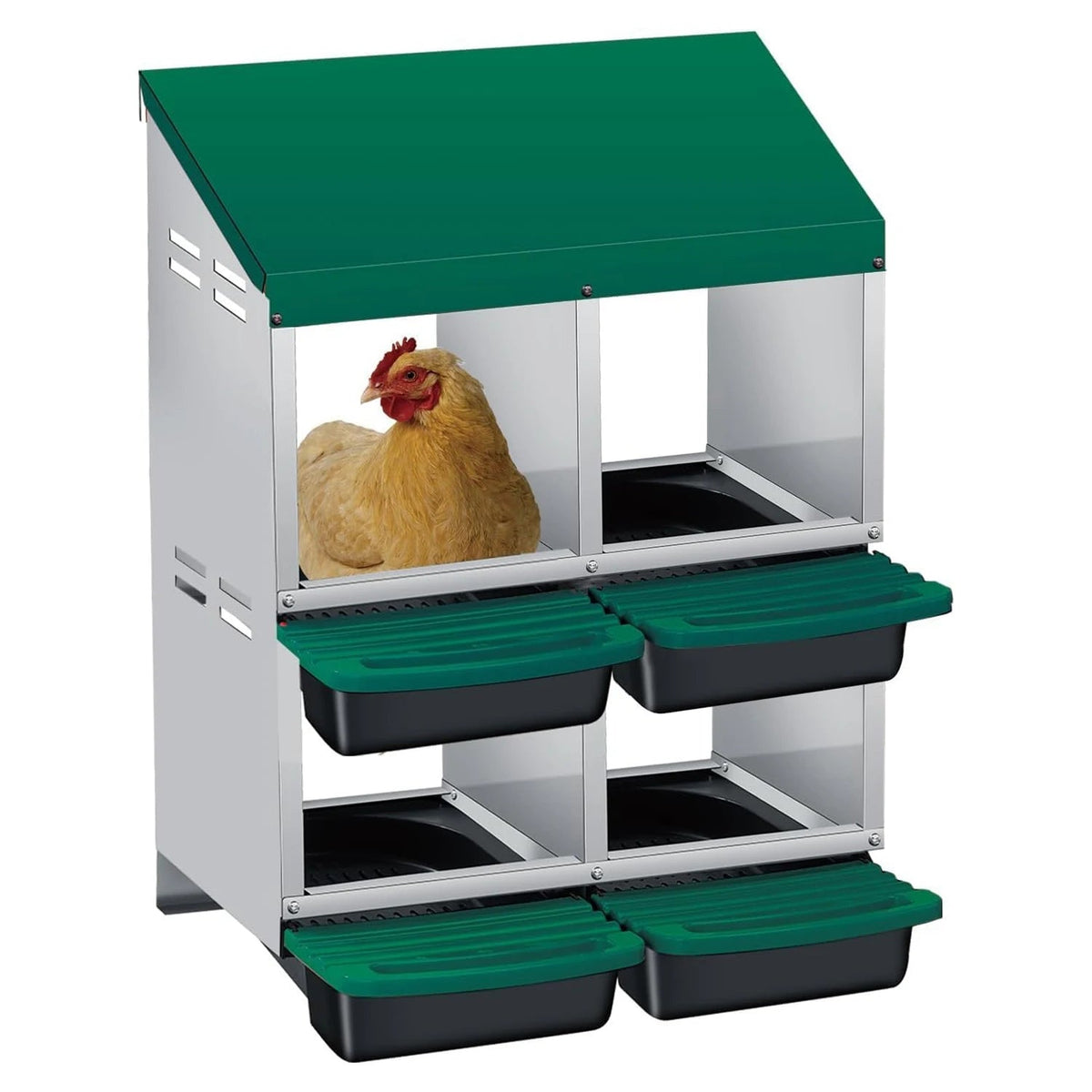 Multi-Compartment Metal Chicken Nesting Box The Pet & Home Store