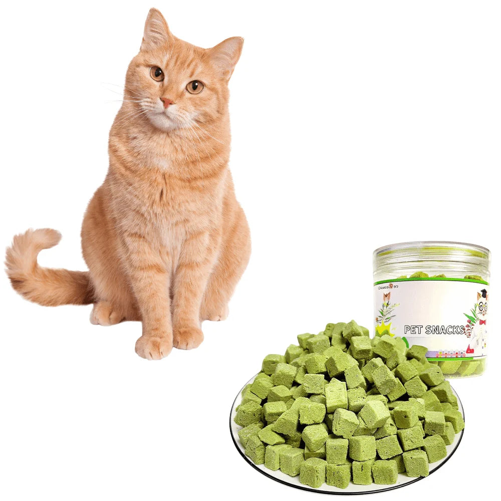 Cat Grass Hairball Treats for Cats Chicken Flavor Teeth Cleaning