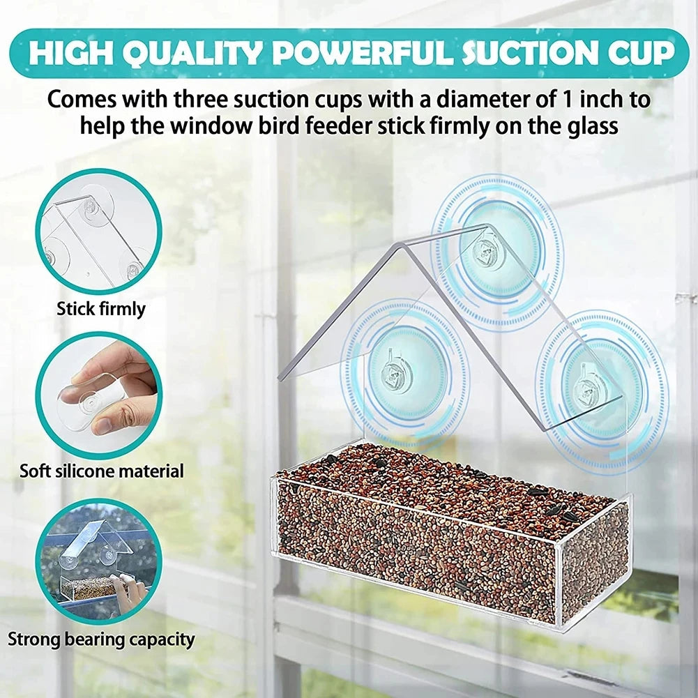 Durable Acrylic Window Mount Bird Feeder For Backyard Birds The Pet & Home Store