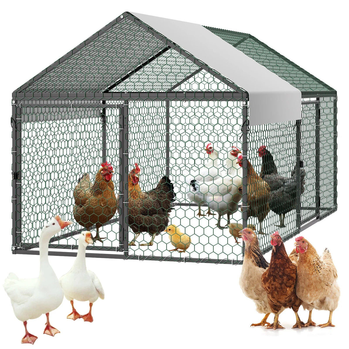 Metal Chicken Coop with Waterproof Cover & Doors The Pet & Home Store