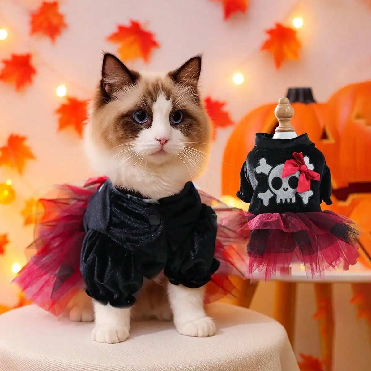 Halloween Bow Skull Pattern Costume For Small Dogs or Cats The Pet & Home Store