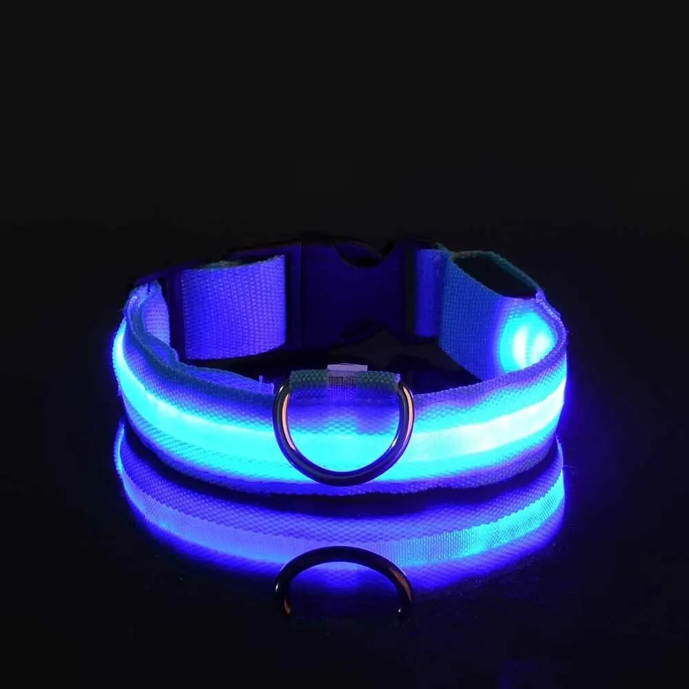 Nylon LED Night Safety Leash And Glow Collar For Pets