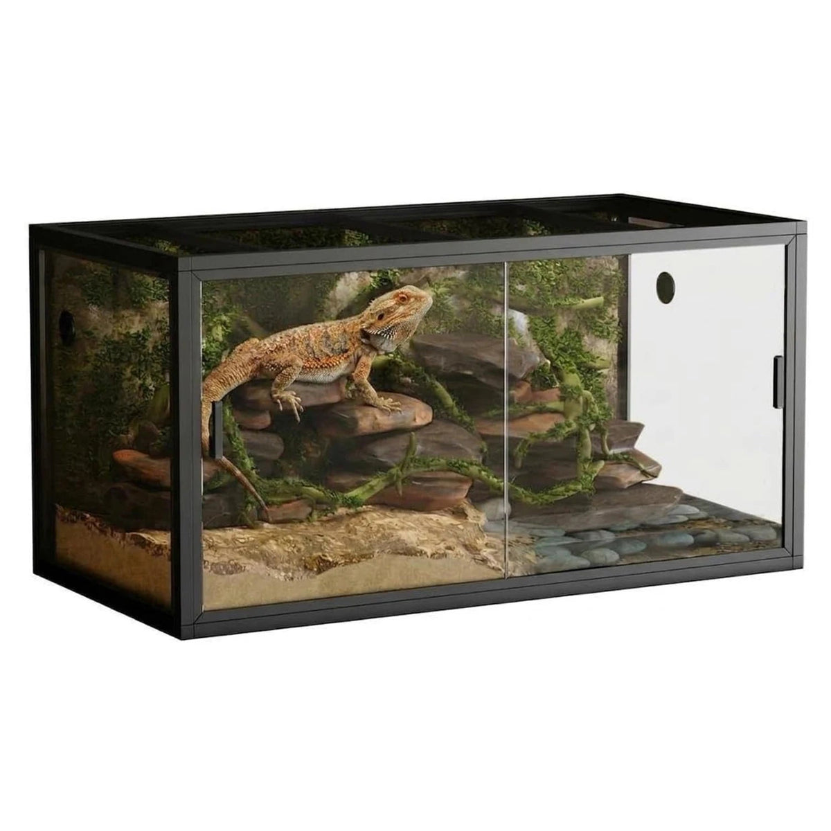 120 Gallon Reptile Terrarium, Bearded Dragon Tank 4ft x 2ft x 2ft, Reptile Enclosure with Sliding Glass Doors & Screen Ventilation Top for Lizard, Chameleon, Snake,Snake Enclosure with Easy Assembly The Pet & Home Store