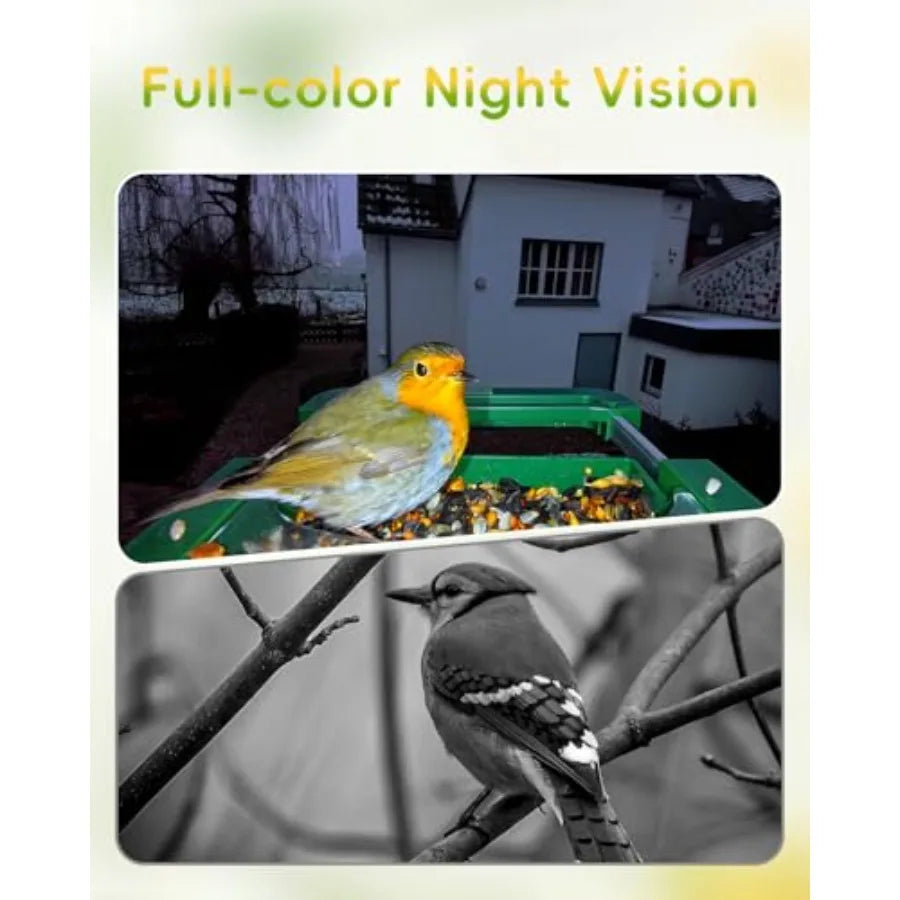 SHXI Hibird 4K Bird Feeder With Camera Dual WiFi Outdoor