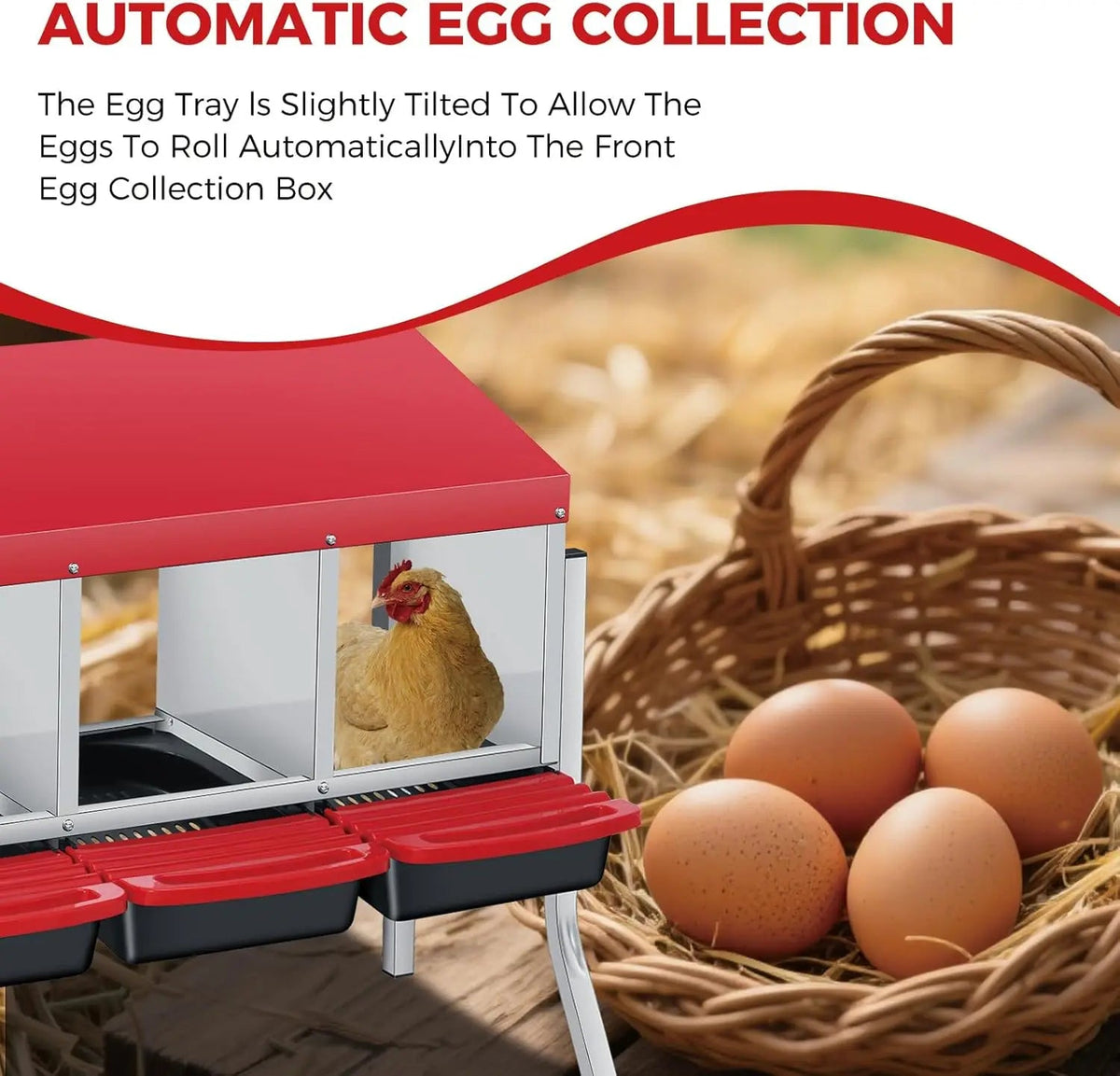 Multi-Compartment Metal Chicken Nesting Box The Pet & Home Store