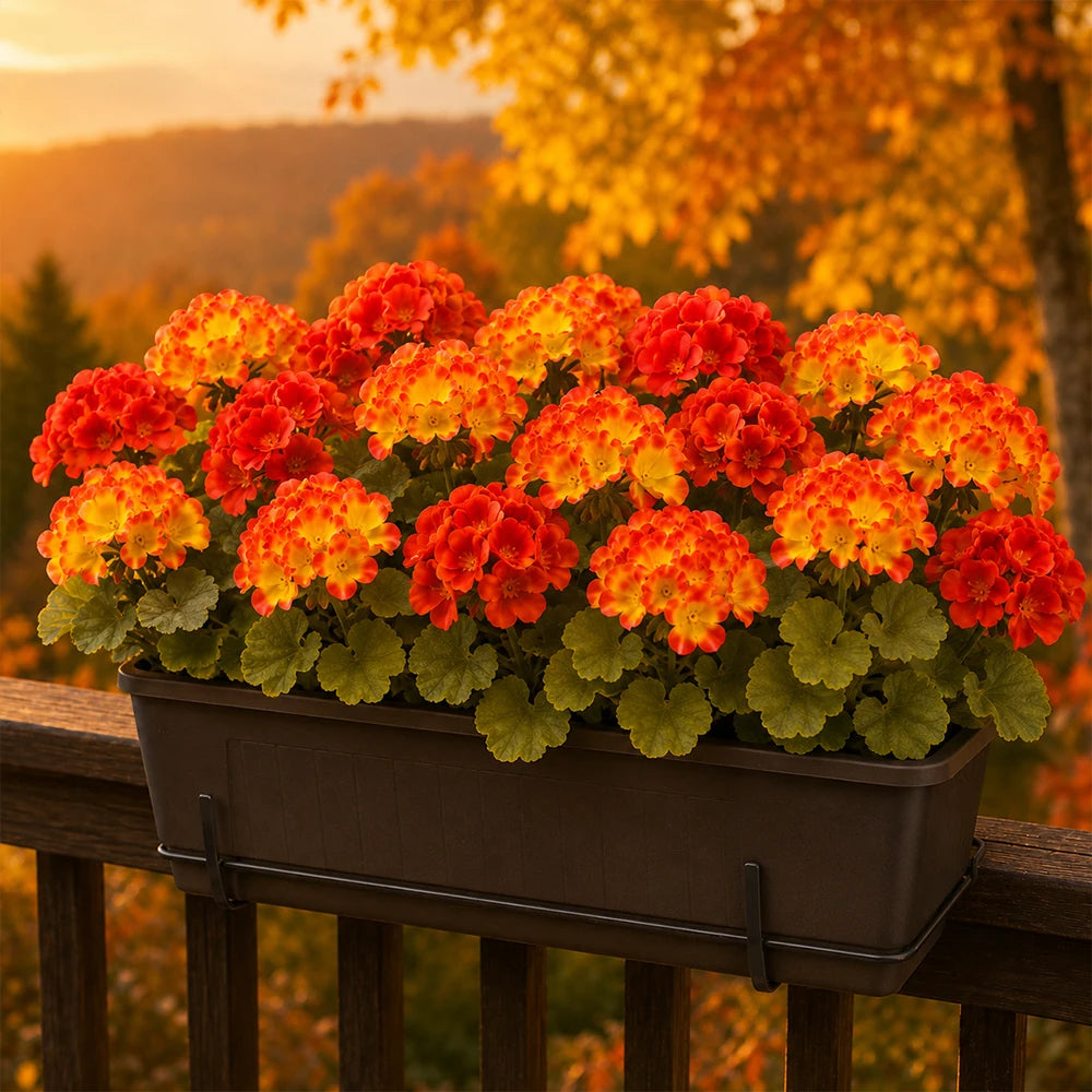 6 pcs Artificial Fall Geranium Flowers The Pet & Home Store