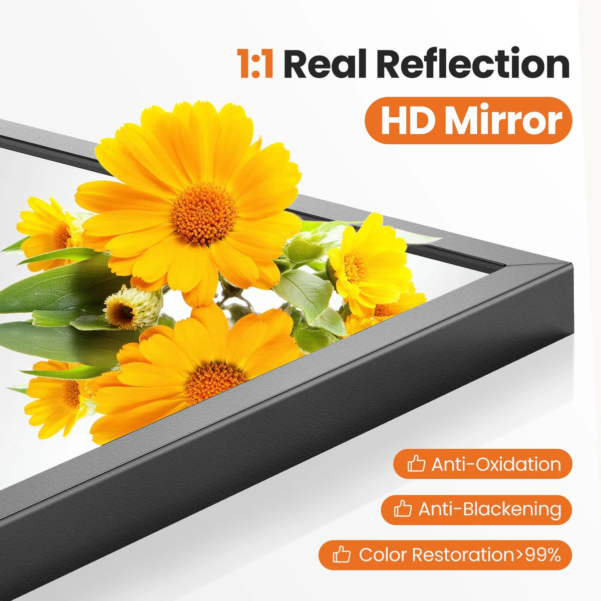Arched Bathroom Mirror (various sizes and colors) The Pet & Home Store