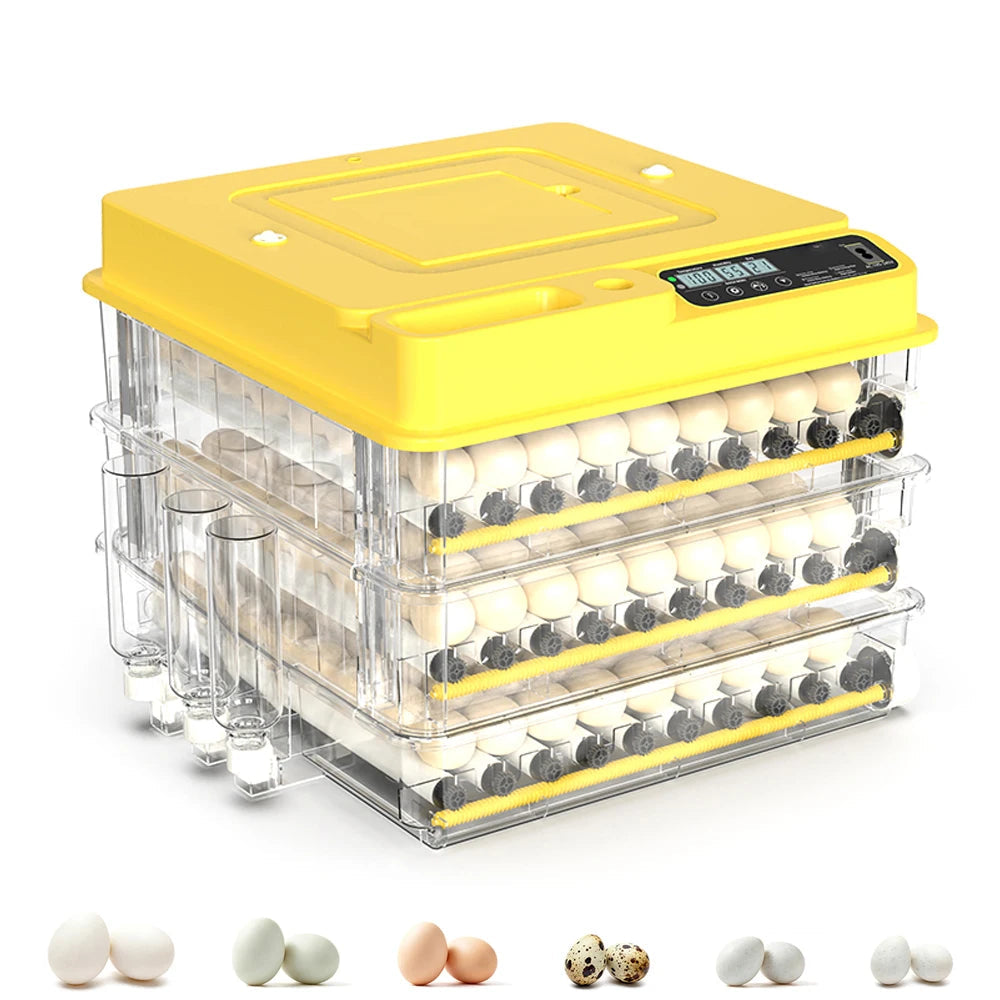 Egg Incubator for Hatching Eggs The Pet & Home Store