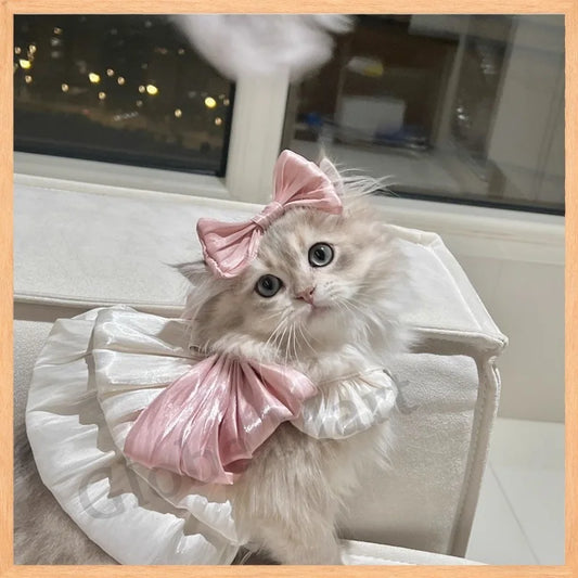 Adorable Cat Dress For Spring Summer Pet Fashion Glimmer Skirt