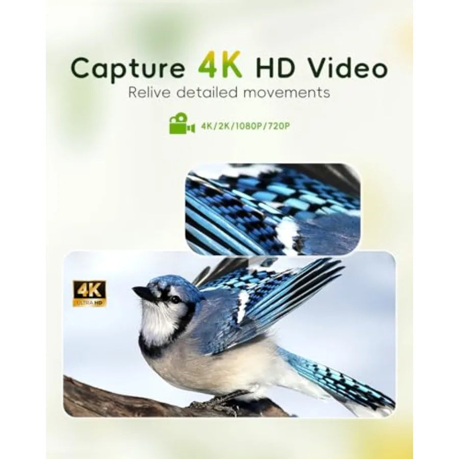 SHXI Hibird 4K Bird Feeder With Camera Dual WiFi Outdoor