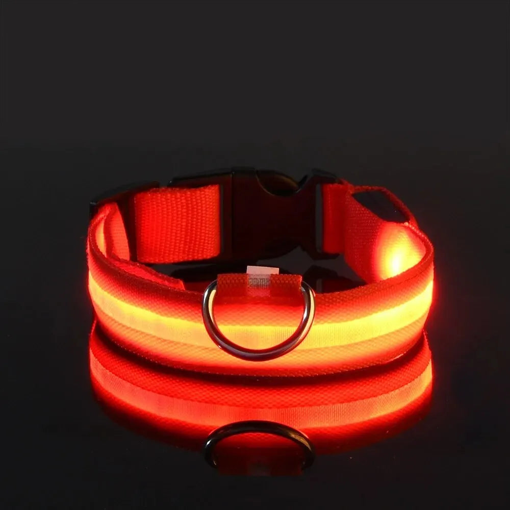 Nylon LED Night Safety Leash And Glow Collar For Pets