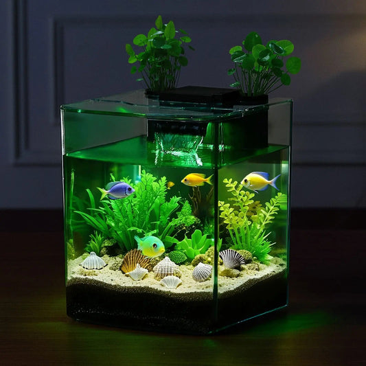 Ultra Clear Arch Fish Tank Aquarium With Reliable Circulation The Pet & Home Store