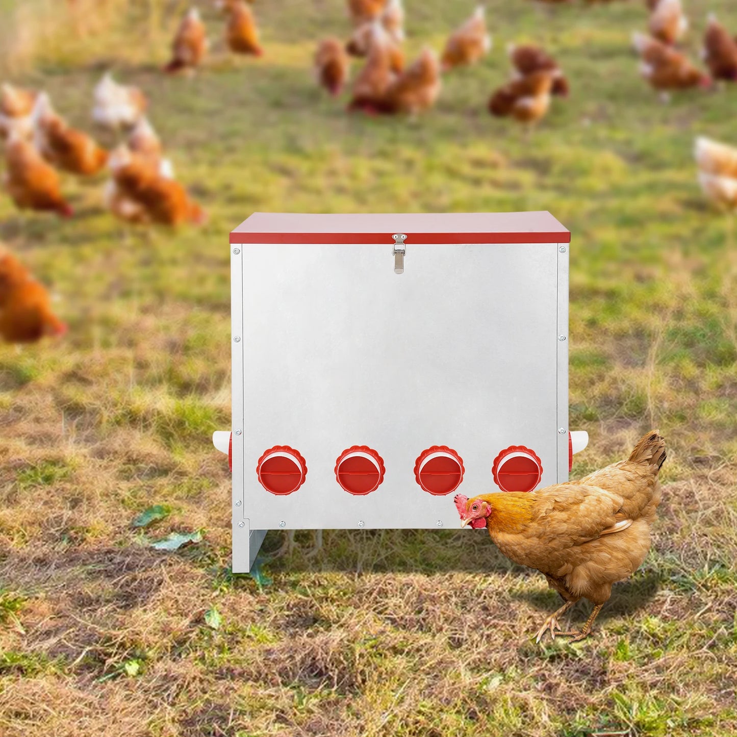 10 Port Galvanized Metal Chicken Feeder For Farm Poultry