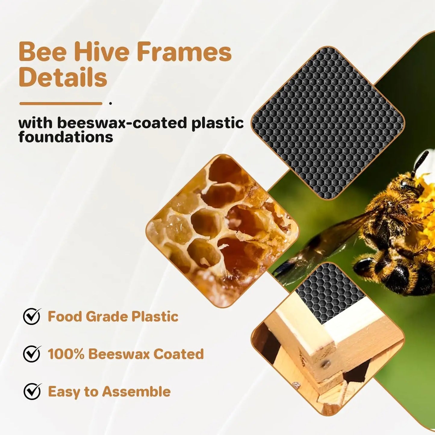 10 Frame Deep Brood Bee Hive Box Dipped in 100% Beeswax Wooden Frames Beehive Box for Beginner Beekeeper Beekeeping Supplies