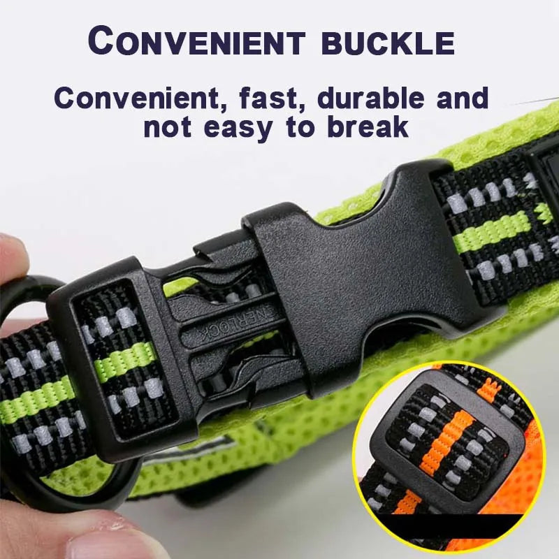Dog Walking Collar Comfort Padded The Pet & Home Store
