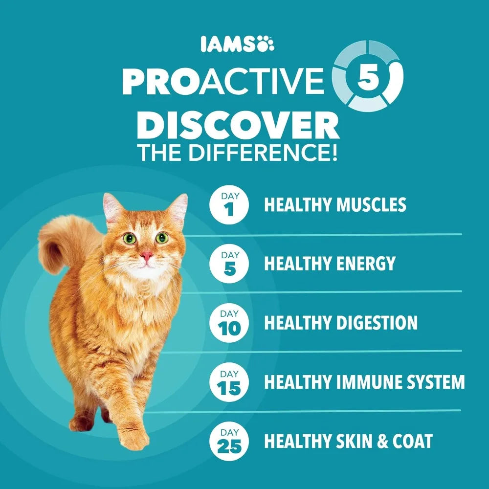 IAMS Proactive Health Indoor Hairball Care Dry Cat Food