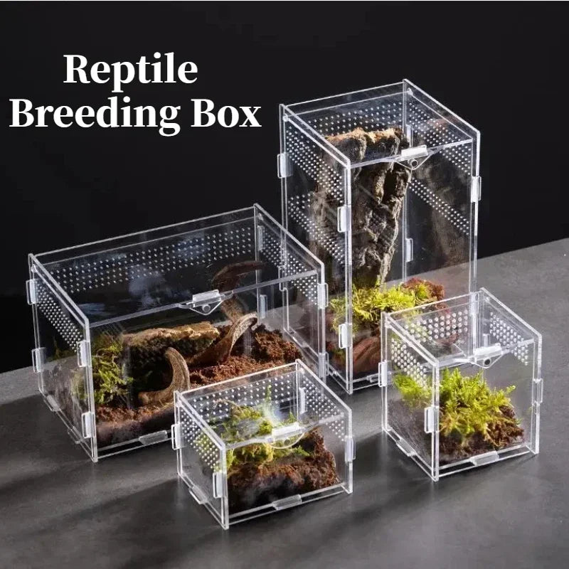 Acrylic Reptile Breeding Box Terrarium Enclosure Transparent