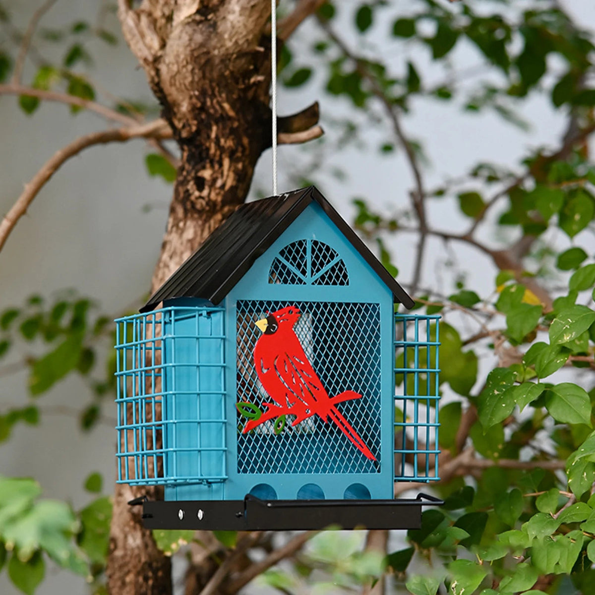 Outdoors Hanging Bird Feeders with Double Suet The Pet & Home Store