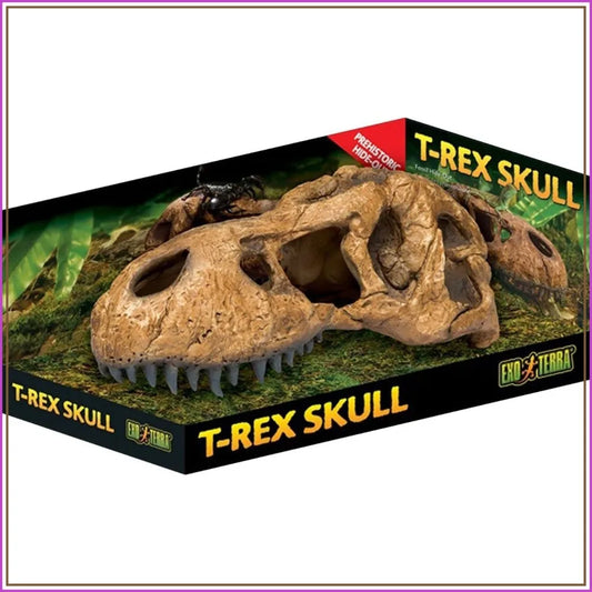 T Rex Skull Terrarium Decor Fossil Hideout For Reptiles
