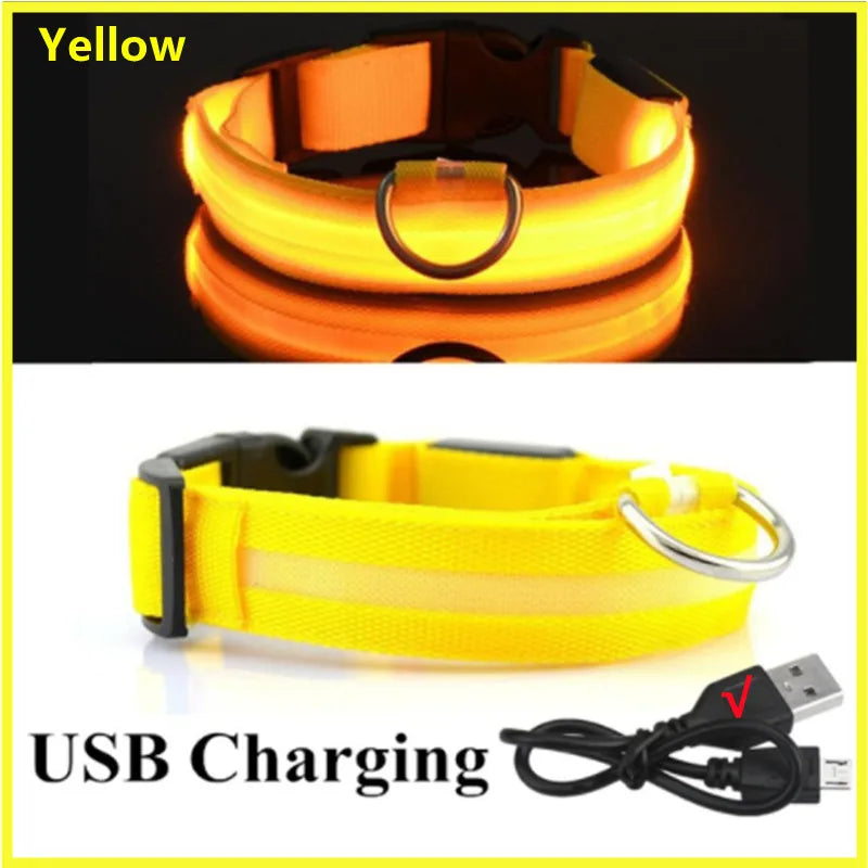 USB Rechargeable Luminous Pet Collar With Adjustable Led Night Light