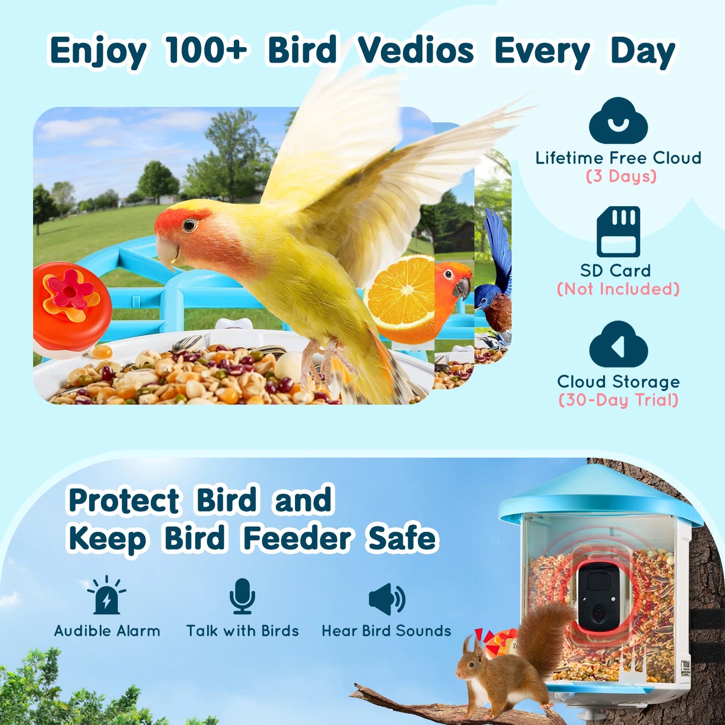 Smart Bird Feeder With Camera 2K HD AI Identify 10000 Species
