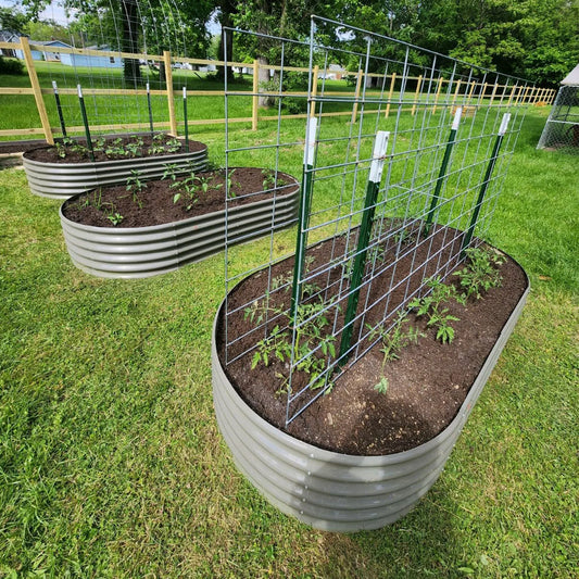 Tramull Galvanized Oval Raised Garden Bed For Vegetables Herbs