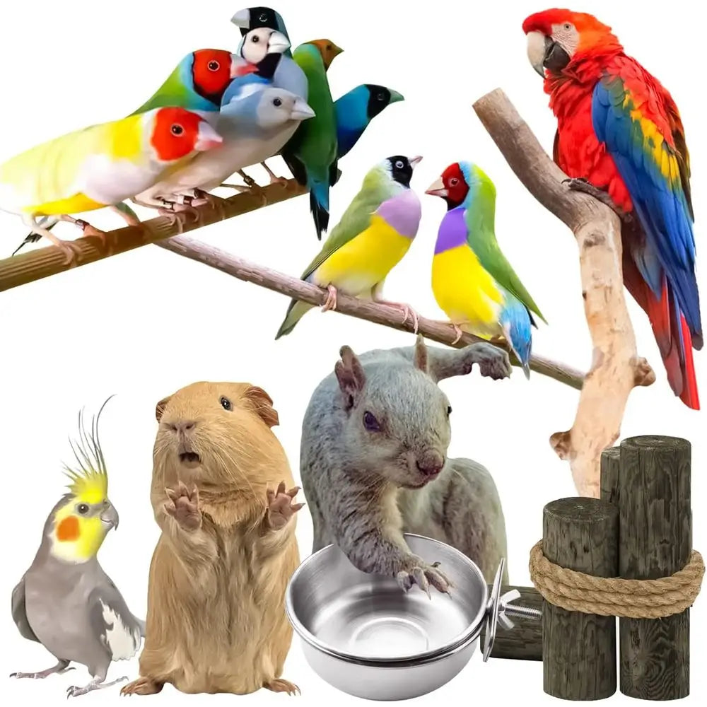 Stainless Steel Bird Feeding Bowls with Clamp, Suitable for Parrots, Cockatiels, Budgies, and Small Animals