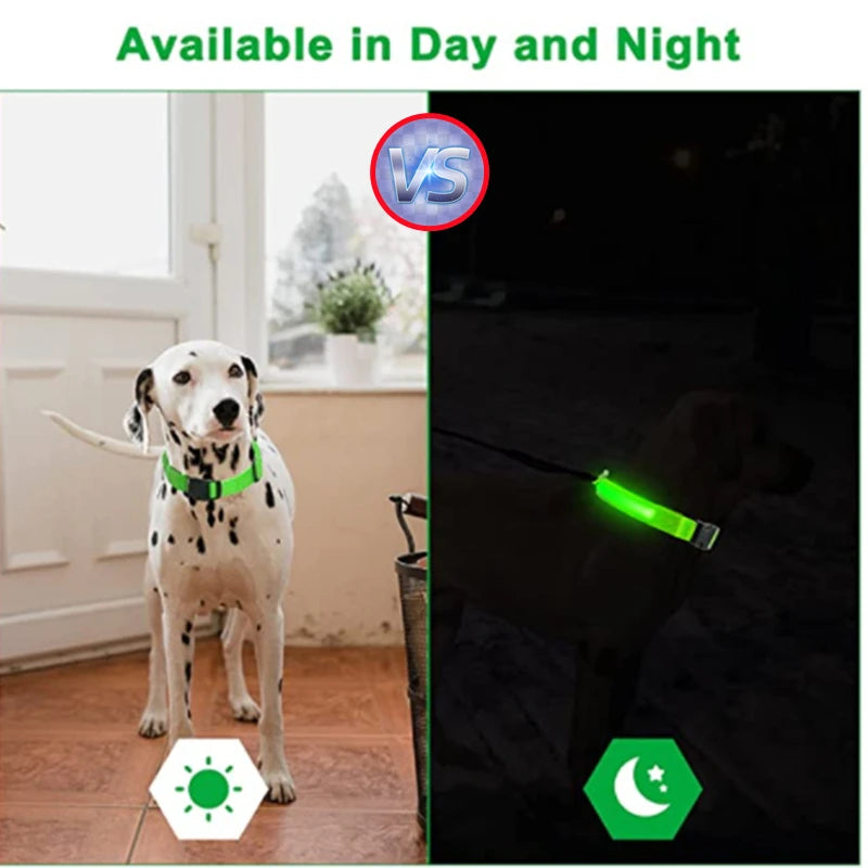 USB Rechargeable Luminous Pet Collar With Adjustable Led Night Light