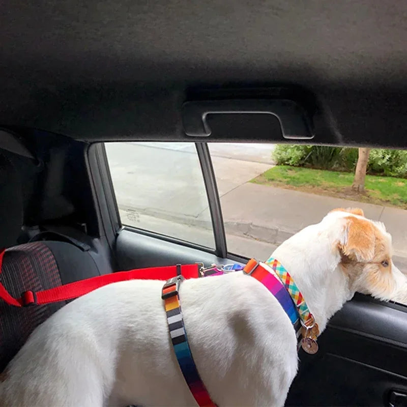 Nylon Two-In-One Pet Car Seat Belt And Leash Adjustable Harness