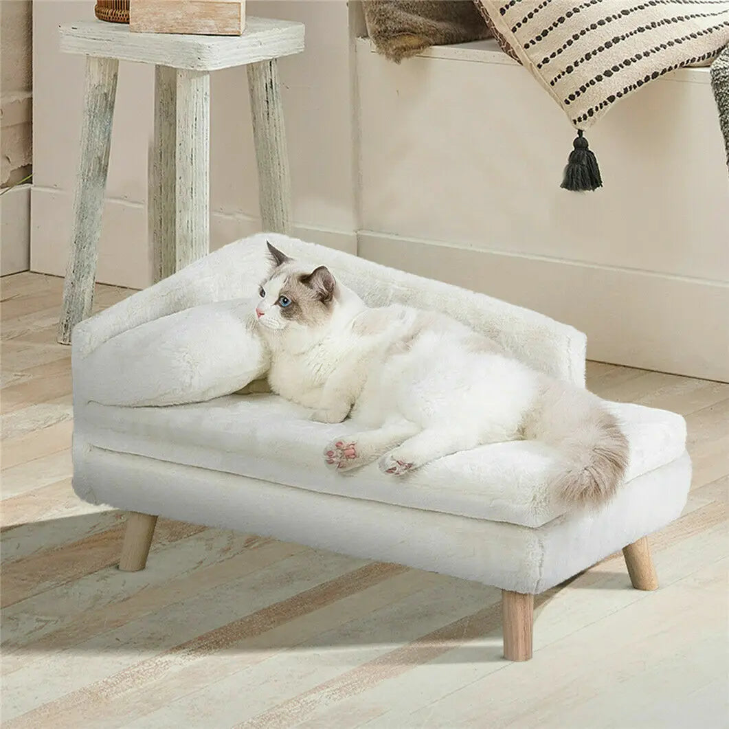 Elevated Pet Bed The Pet & Home Store