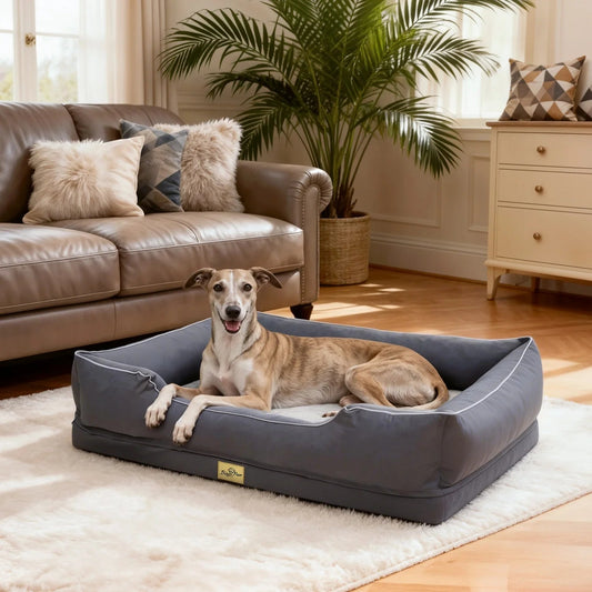 Bingopaw Orthopedic Dog Bed With Bolster And Waterproof Removable Cover The Pet & Home Store