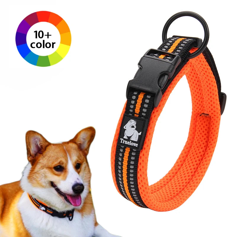 Dog Walking Collar Comfort Padded The Pet & Home Store