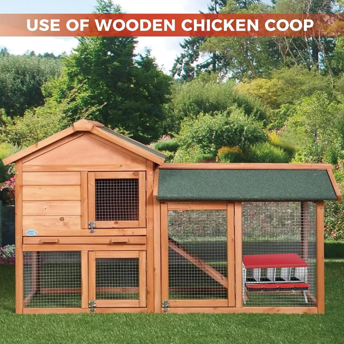 Chicken Nesting Box with Pull-Out Egg Collector Trays The Pet & Home Store