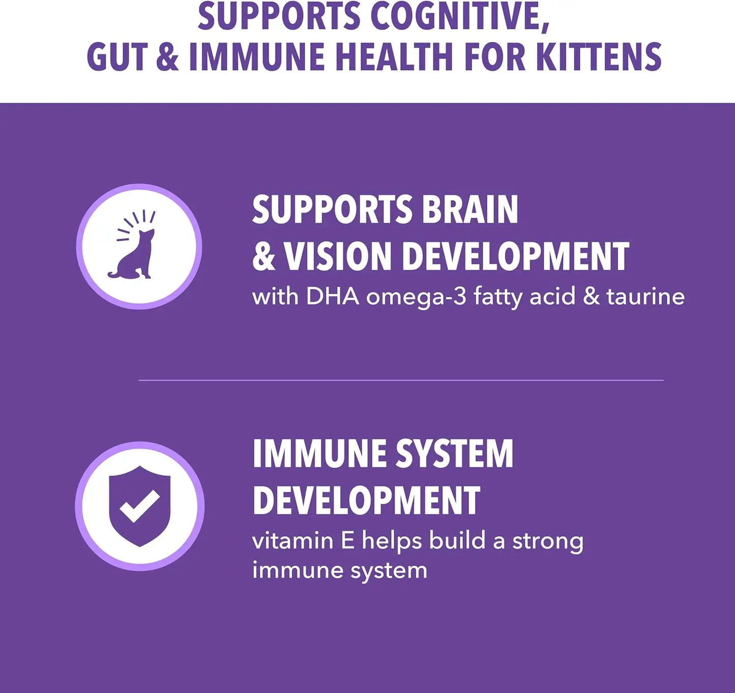 Healthy Kitten Dry Cat Food With Real Chicken For Kittens