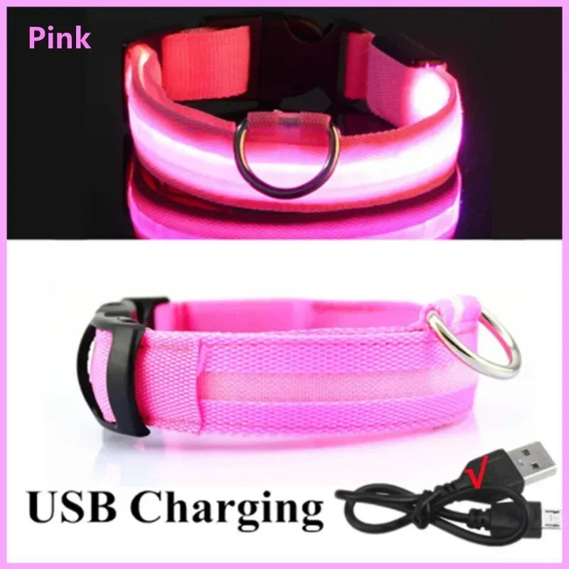 COOYOMOO 3 Mode LED USB Dog Collar With Night Glow