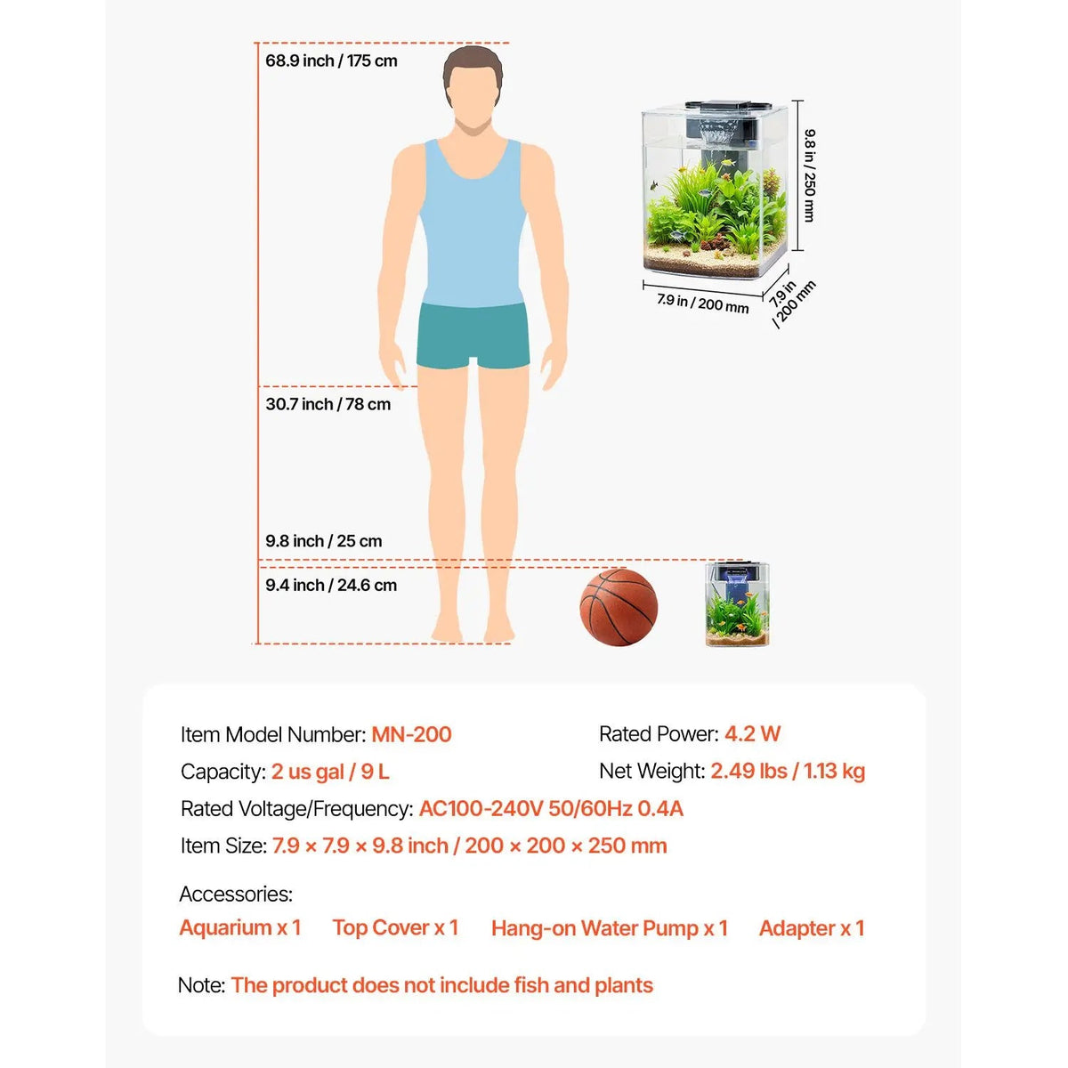 Ultra Clear Arch Fish Tank Aquarium With Reliable Circulation The Pet & Home Store