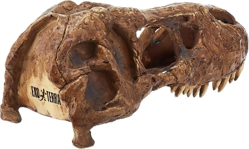 T Rex Skull Terrarium Decor Fossil Hideout For Reptiles