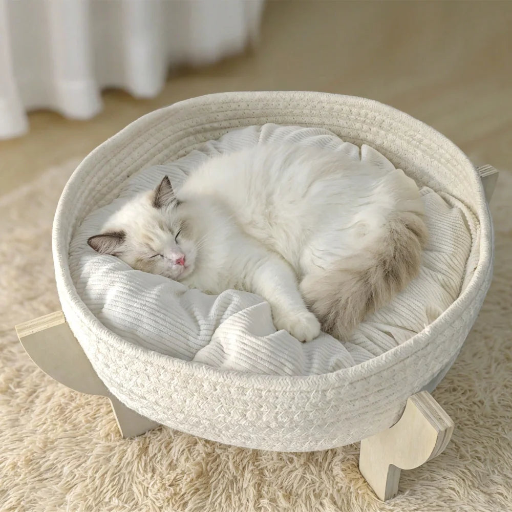 XMSJ Raised Wooden Cat Bed Sofa With Fluffy Cushion