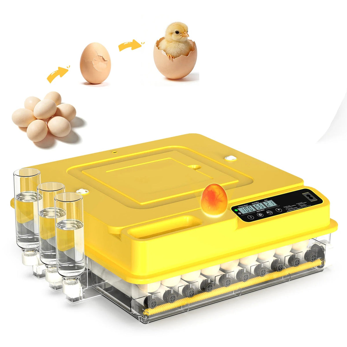 Automatic Egg Incubator With Temperature Control For Poultry Hatching The Pet & Home Store